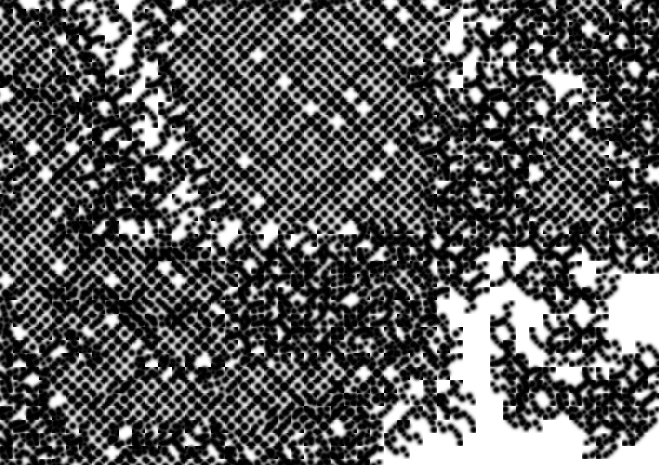 Expérimentation formelle en vue de l'atelier