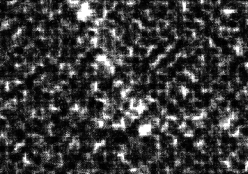 Expérimentation formelle en vue de l'atelier