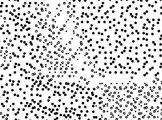 Expérimentation formelle en vue de l'atelier